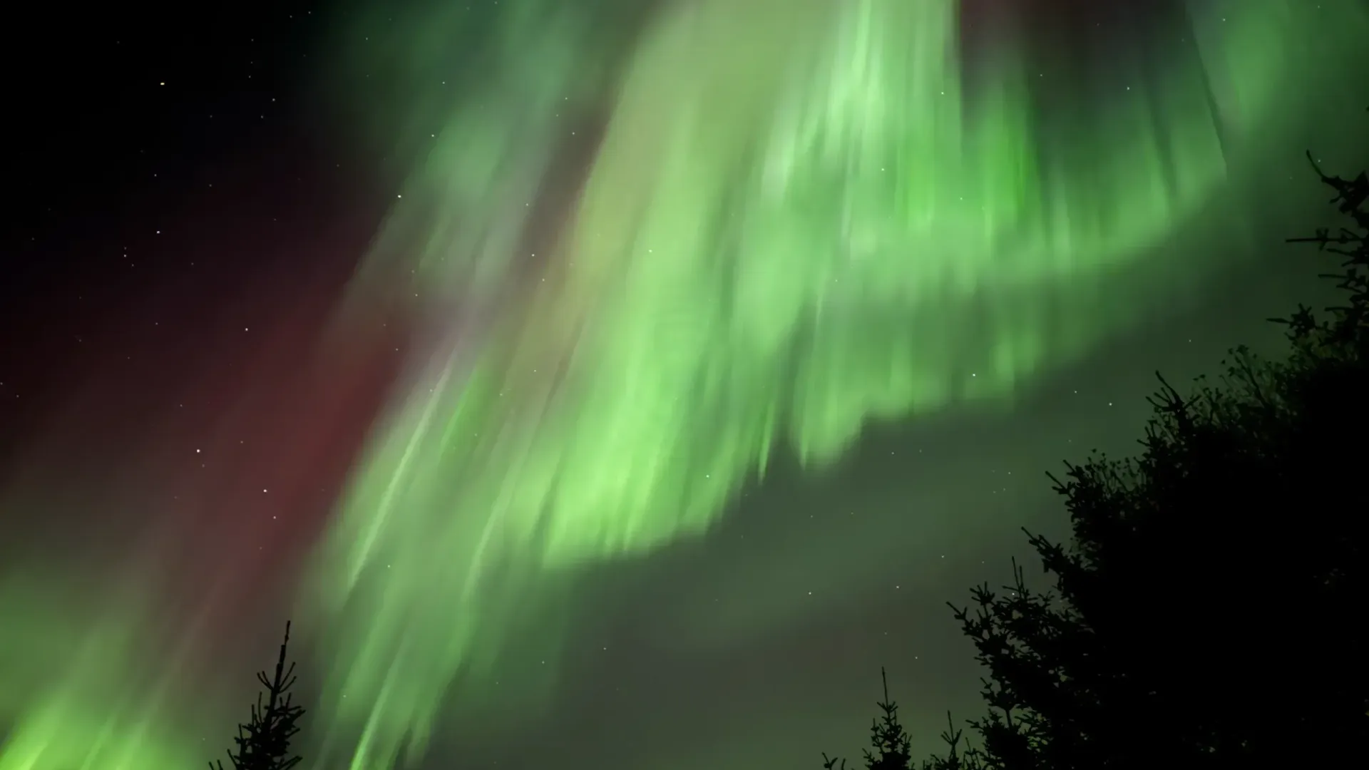 Herbstliche Nordlichter in Norwegen