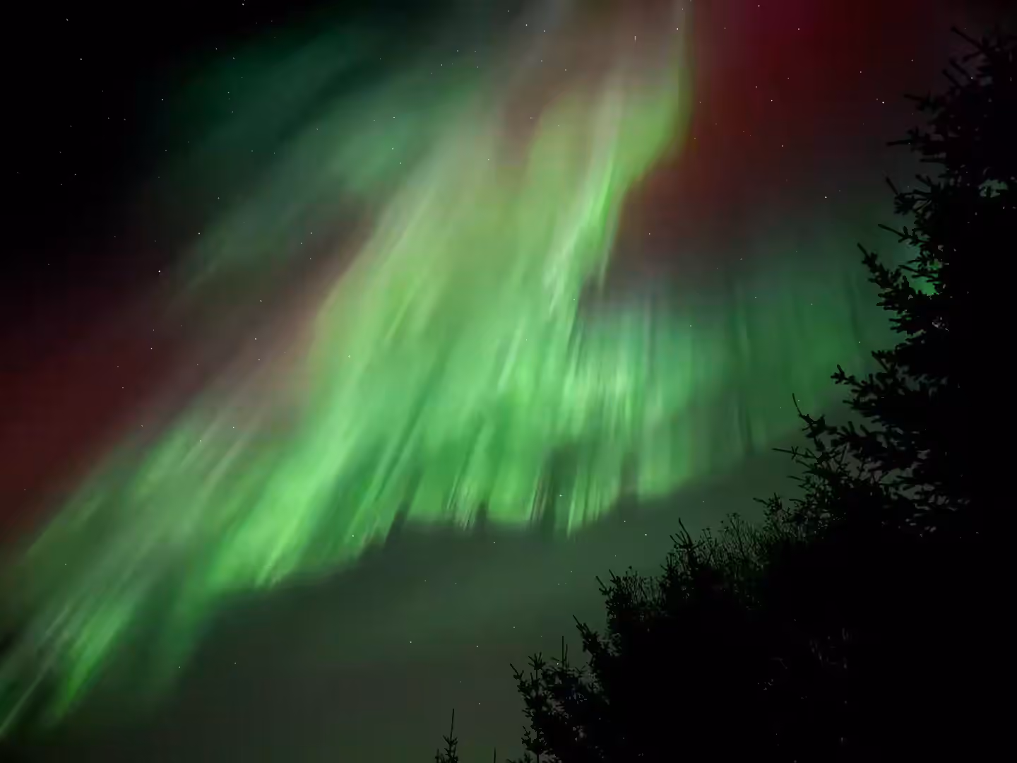 Herbstliche Nordlichter in Norwegen