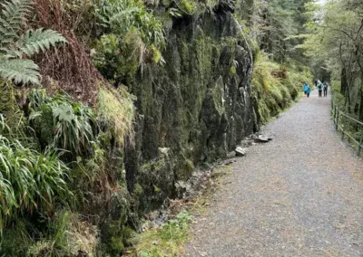 Bergen Mount Floyen Wanderweg