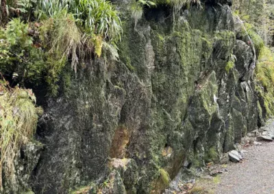 Bergen Mount Floyen Wanderweg