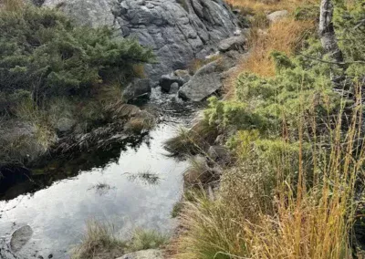 Norwegen Reise Wanderung zum Preikestolen