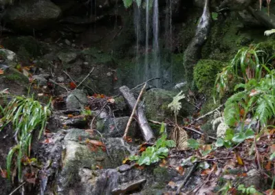 Bergen Mount Floyen Wanderweg