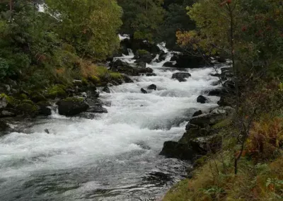 Geiranger Fjord Wanderweg Hafen