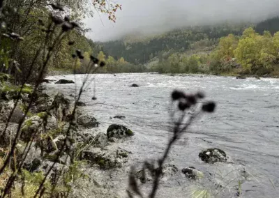 Norwegen Reise Eidfjordvatnet