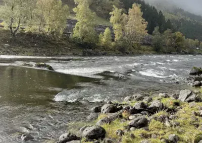 Norwegen Reise Wanderung zum Preikestolen