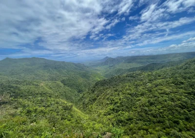 Mauritius im Süden