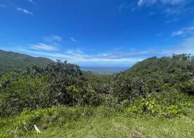 Mauritius im Süden