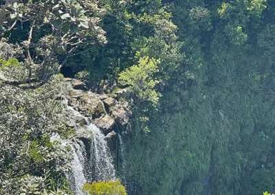 Mauritius im Süden