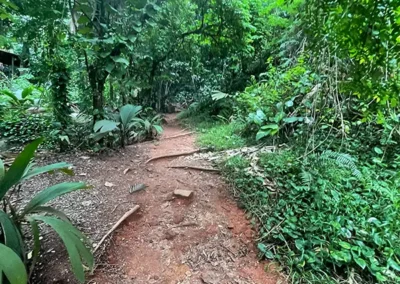 Weg zum Sauzier Wasserfall